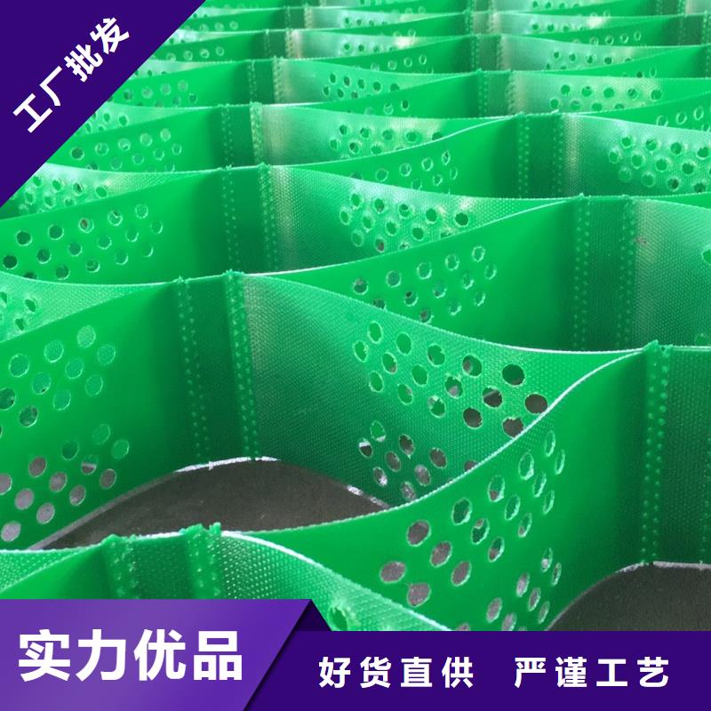 土工格室蜂巢格室哪有卖匠心制造