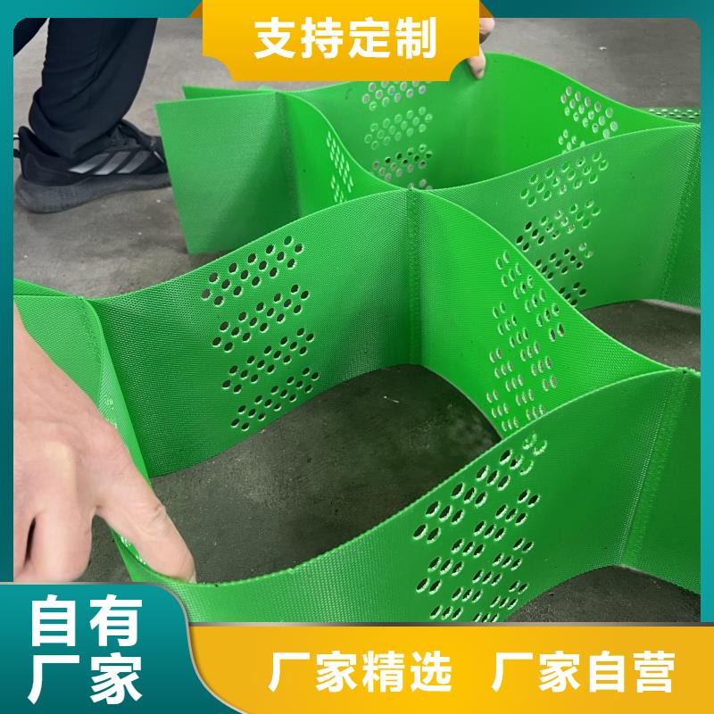 土工格室高分子复合金蜂巢用心做产品