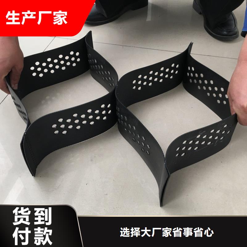 土工格室,蜂巢格室厂家厂家案例