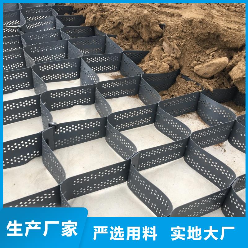 土工格室绿化用蜂巢土工格室按需设计