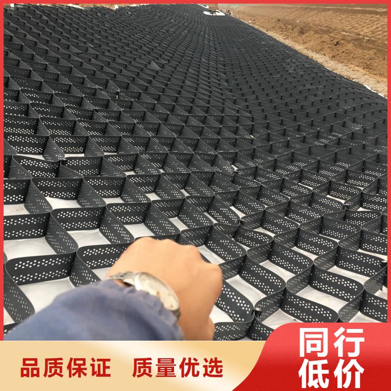 土工格室蜂巢格室哪有卖匠心制造