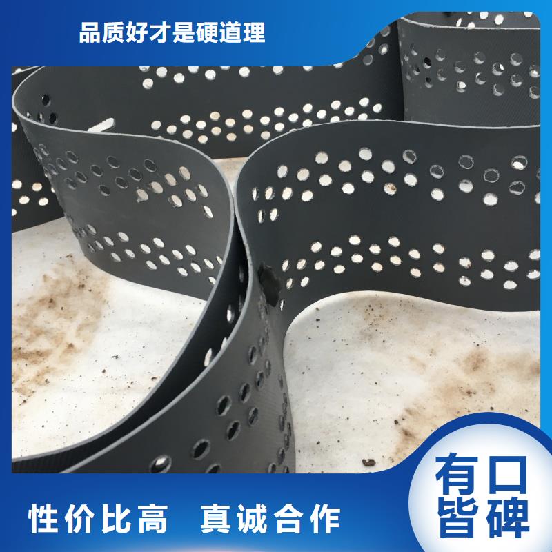 土工格室六边形蜂巢土工格室买的放心