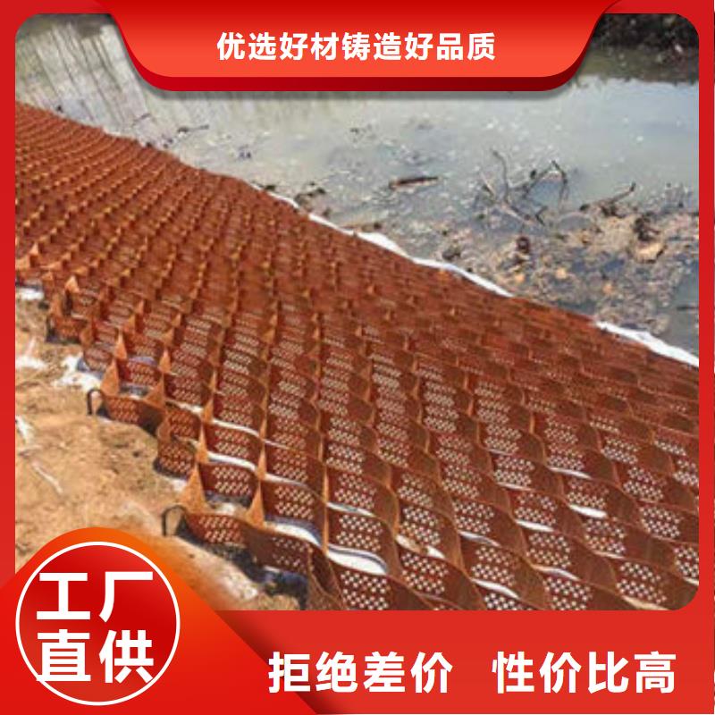 土工格室蜂巢约束系统厂家定制速度快工期短