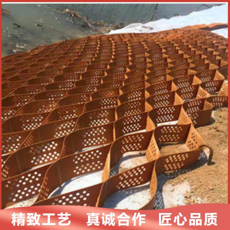 土工格室高模量土工格室产地货源