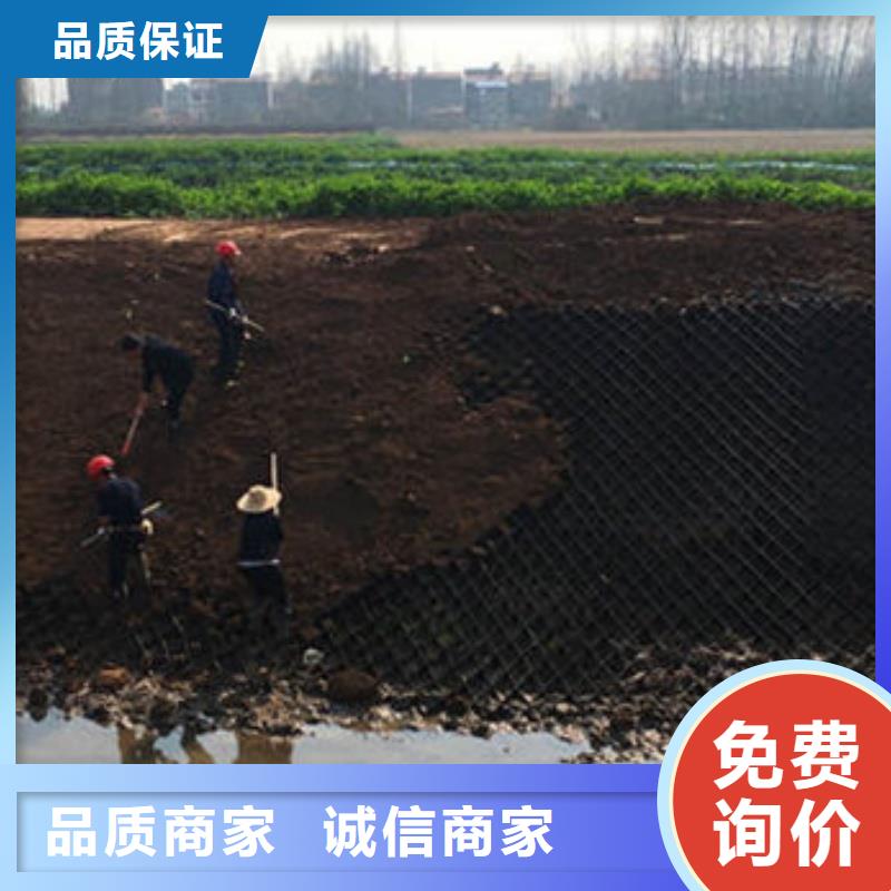 土工格室纳米合金蜂巢格室型号齐全