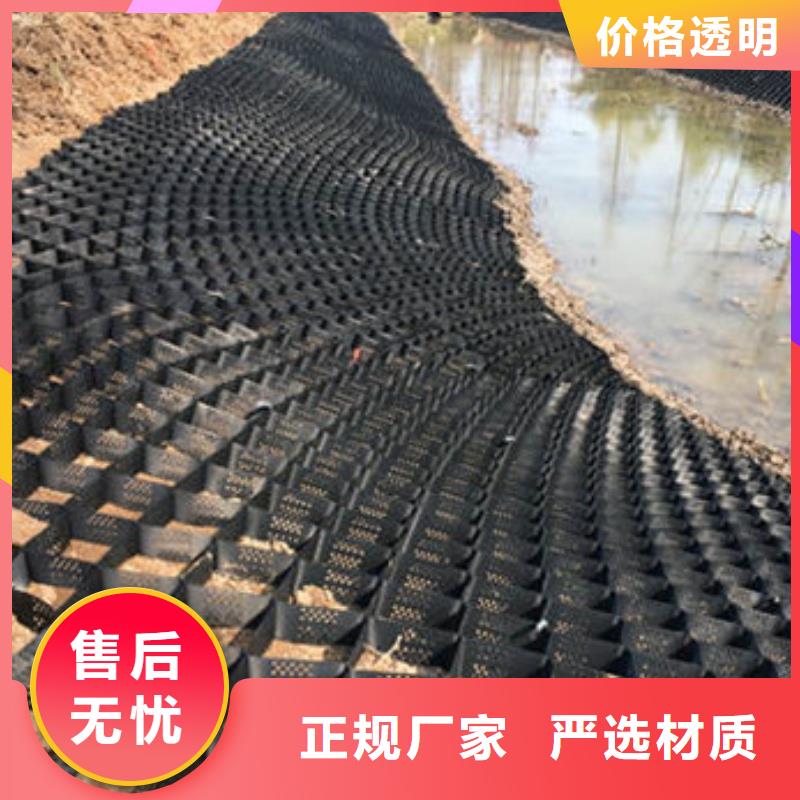 土工格室蜂巢格室哪有卖支持定制贴心售后