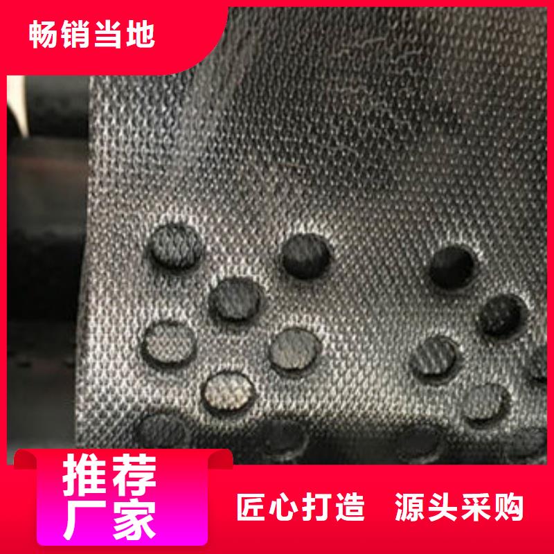 土工格室-蜂巢约束系统厂家厂家精选