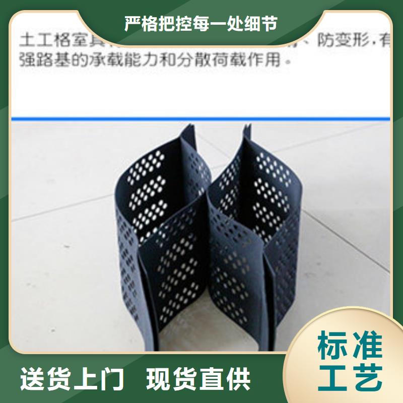 土工格室-蜂巢约束系统厂家厂家精选