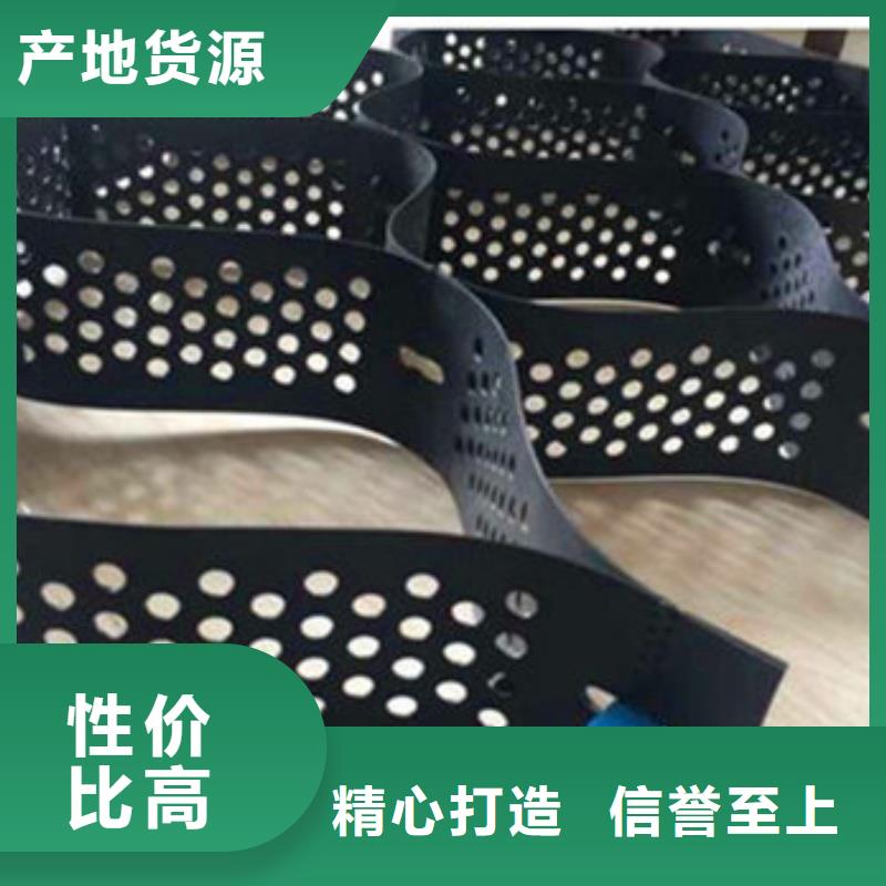 土工格室高分子复合金蜂巢用心做产品