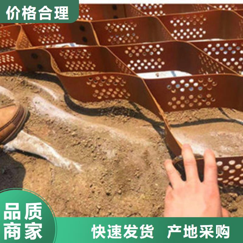 土工格室_HCW蜂巢格室质量为本