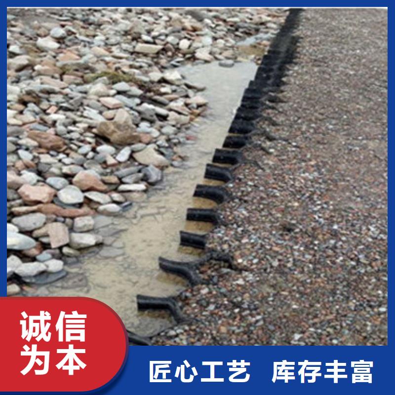 土工格室_蜂巢约束系统价格有实力有经验