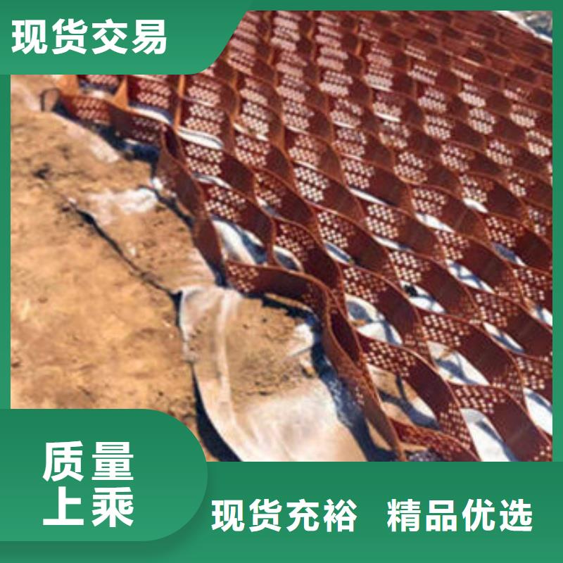 蜂巢格室土工格室                                         专业供货品质管控