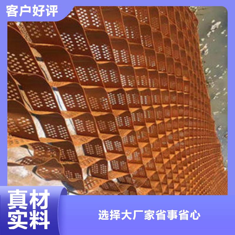 蜂巢格室聚乙烯土工格室买的放心安兴用的舒心