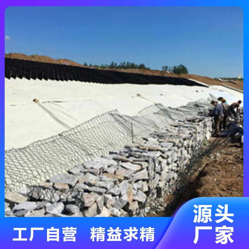 蜂巢格室-土工格室护坡闪电发货