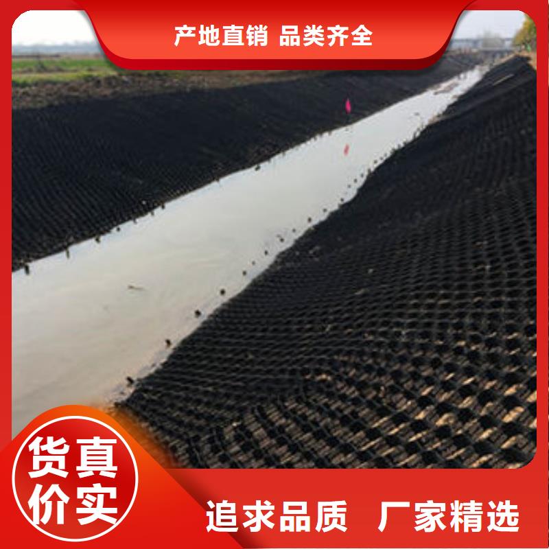 蜂巢格室土工膜订购
