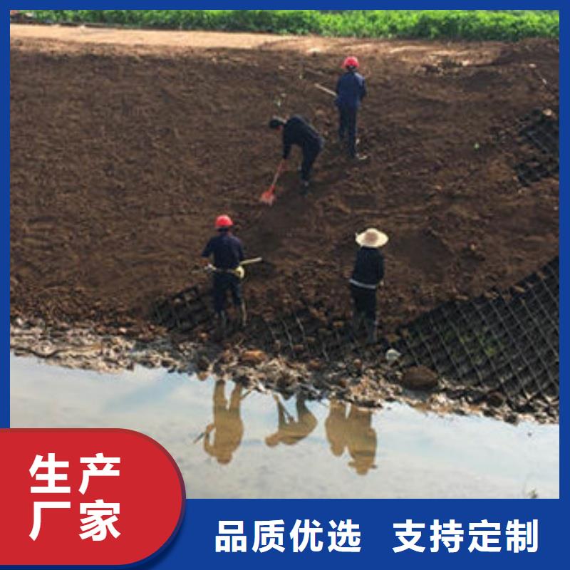 蜂巢格室_绿化用蜂巢土工格室拥有核心技术优势