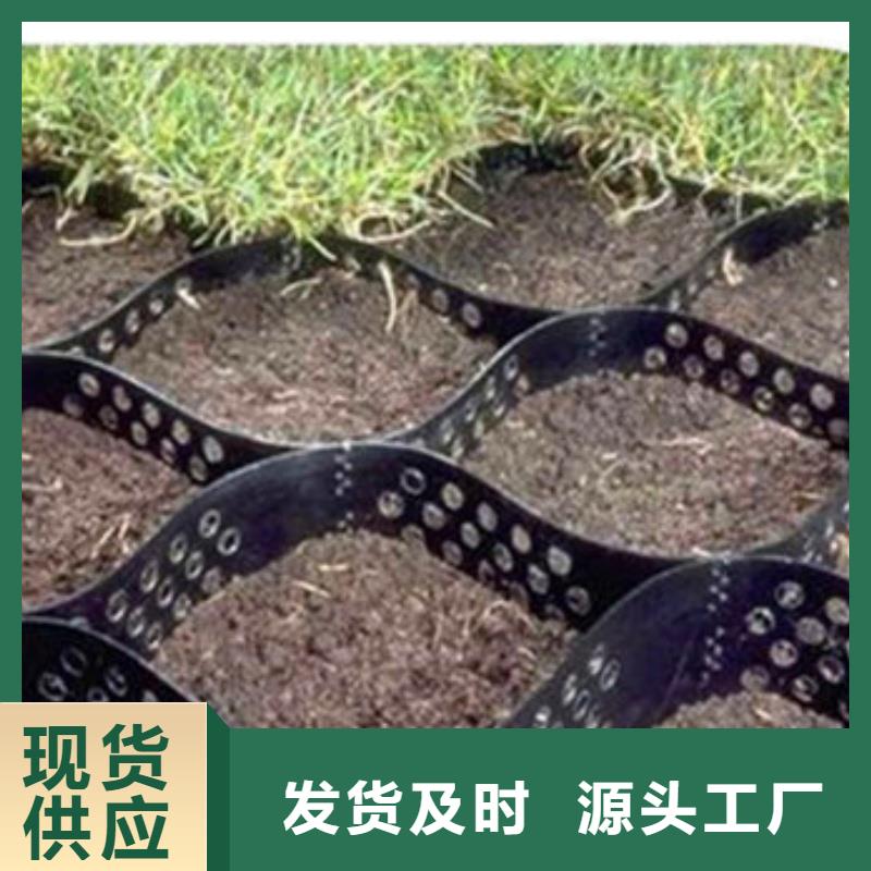 蜂巢格室土工膜订购
