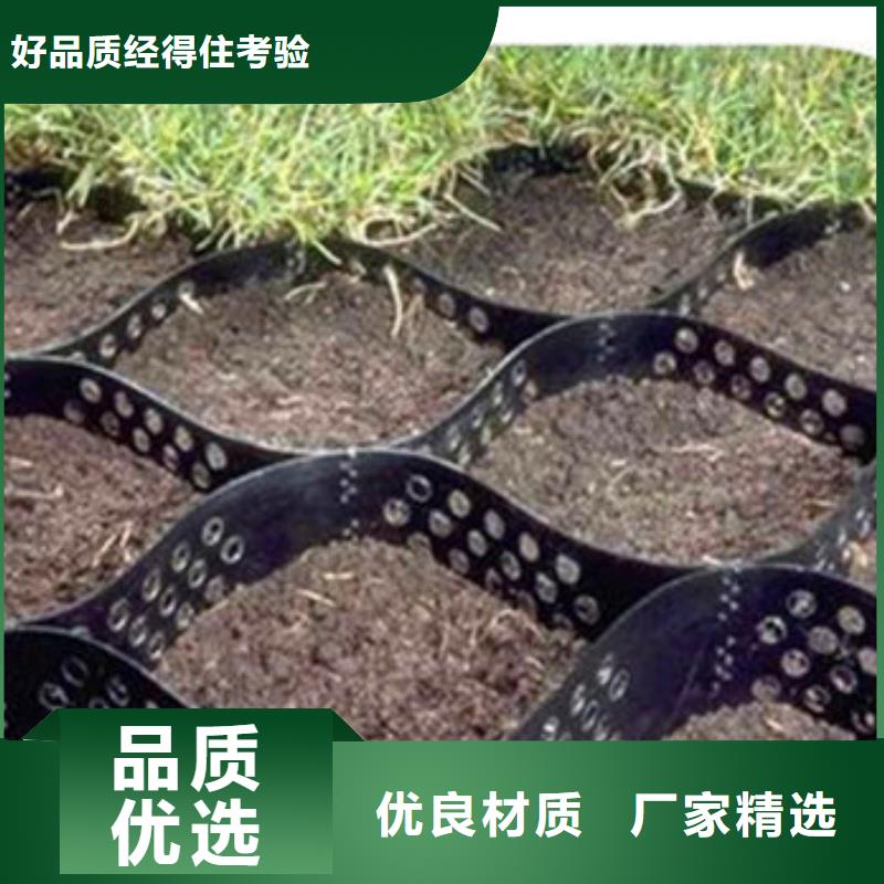蜂巢格室绿化用蜂巢土工格室厂家货源稳定