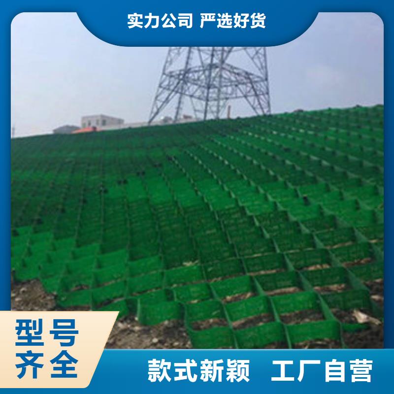 蜂巢格室土工布工厂直营