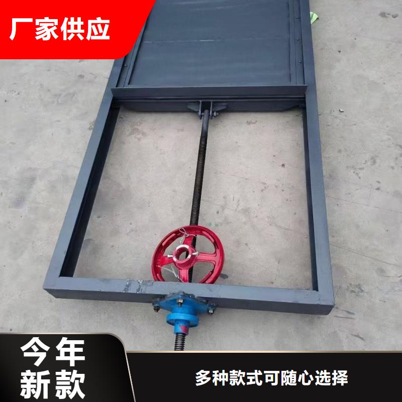 防洪钢闸门厂家供应