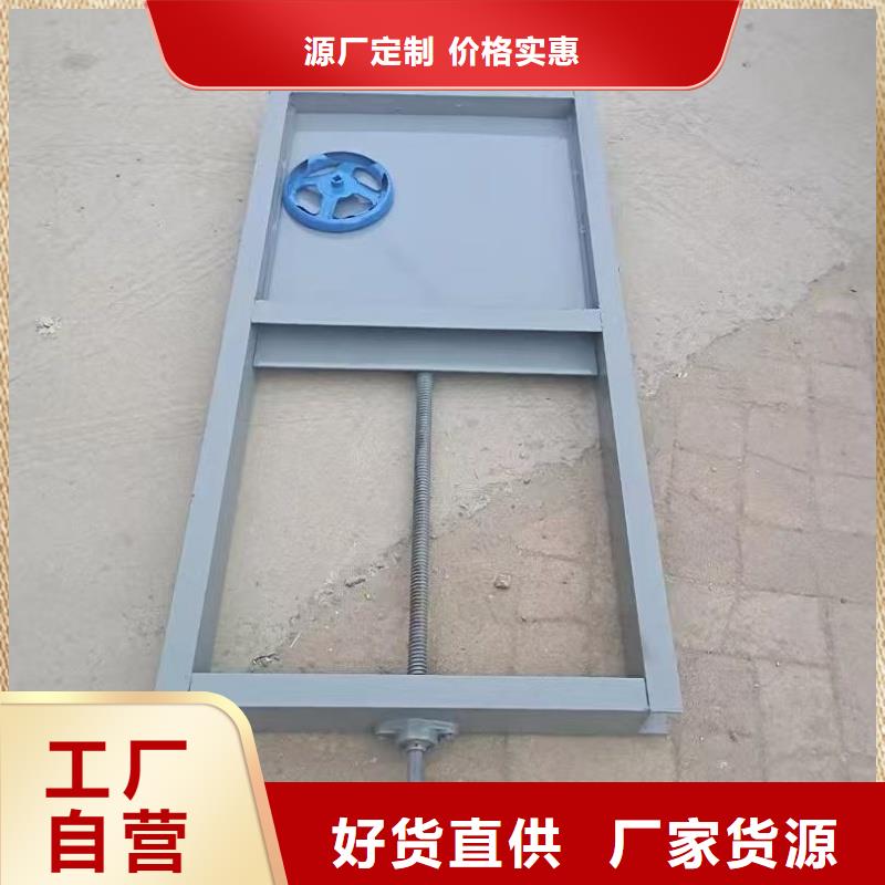 水闸门实体生产厂家