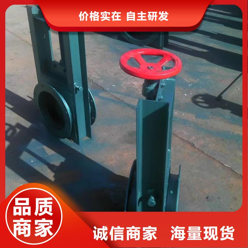 滑块式钢闸门设计专业