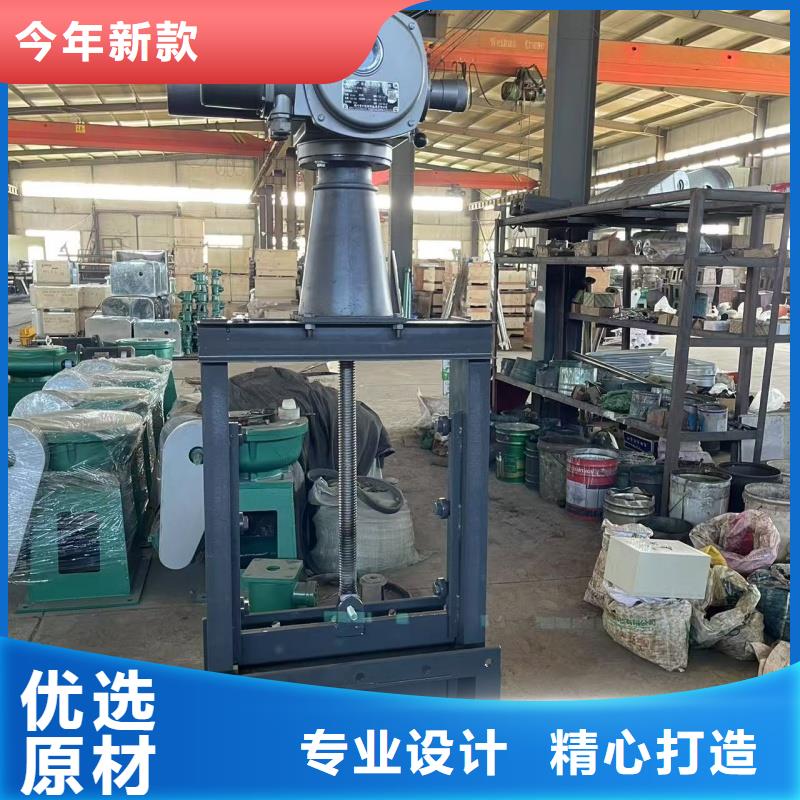 县电动闸门品质保障