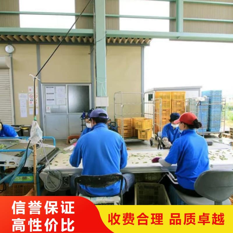 出国劳务派遣
统一管理承润