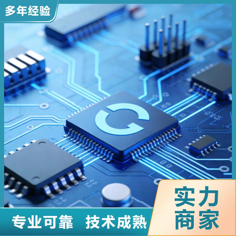 进出口报关报关报检一体化实力团队