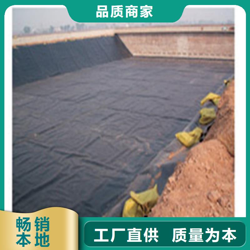 土工膜复合防渗土工膜一站式厂家