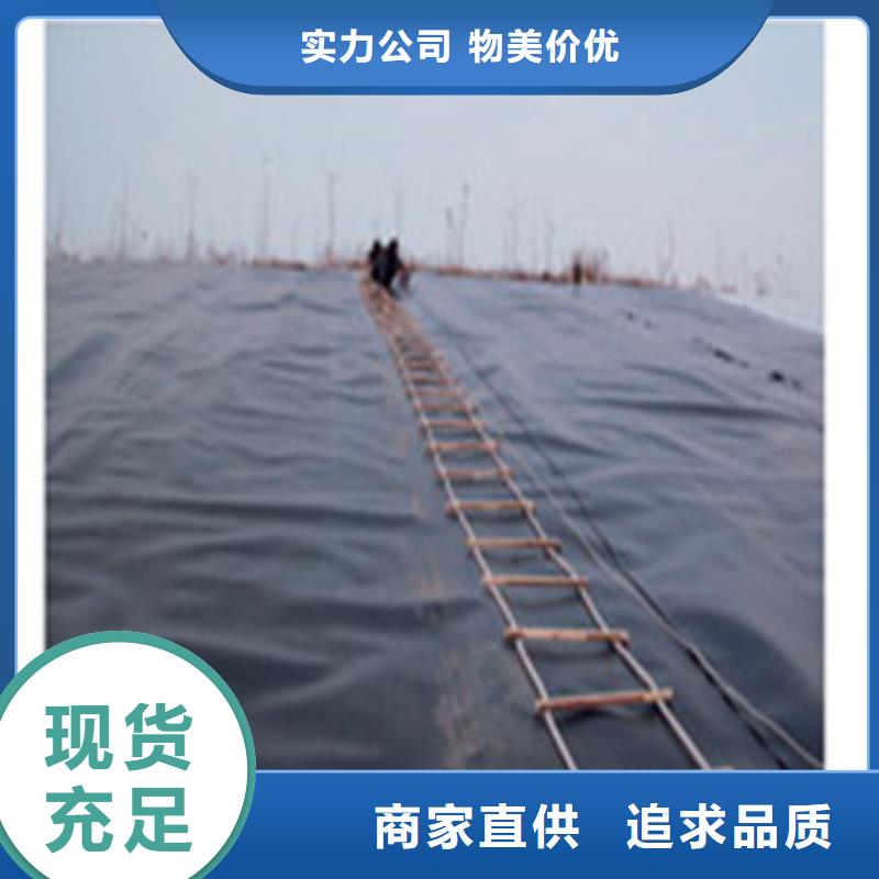 土工膜复合防渗土工膜一站式厂家