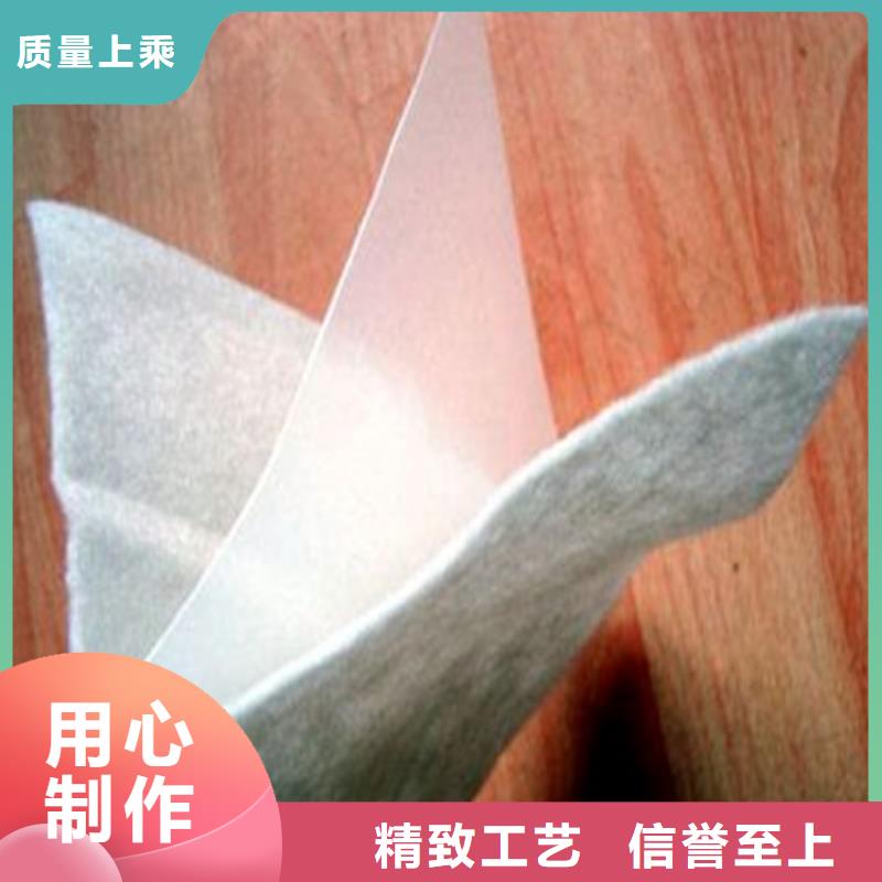 土工膜-污水处理厂防渗土工膜贴心服务