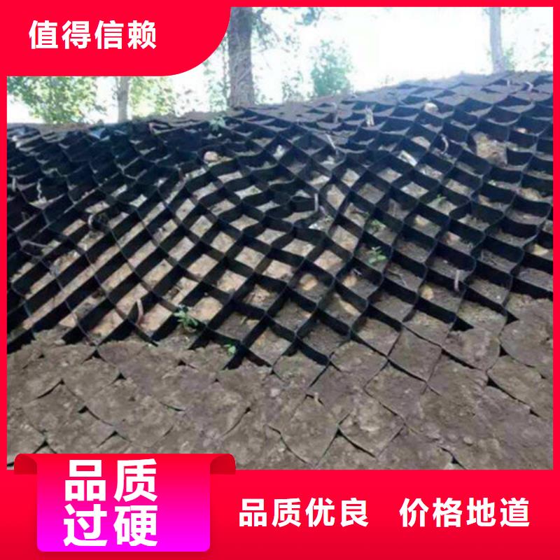 土工格室_高强土工格室一个起售