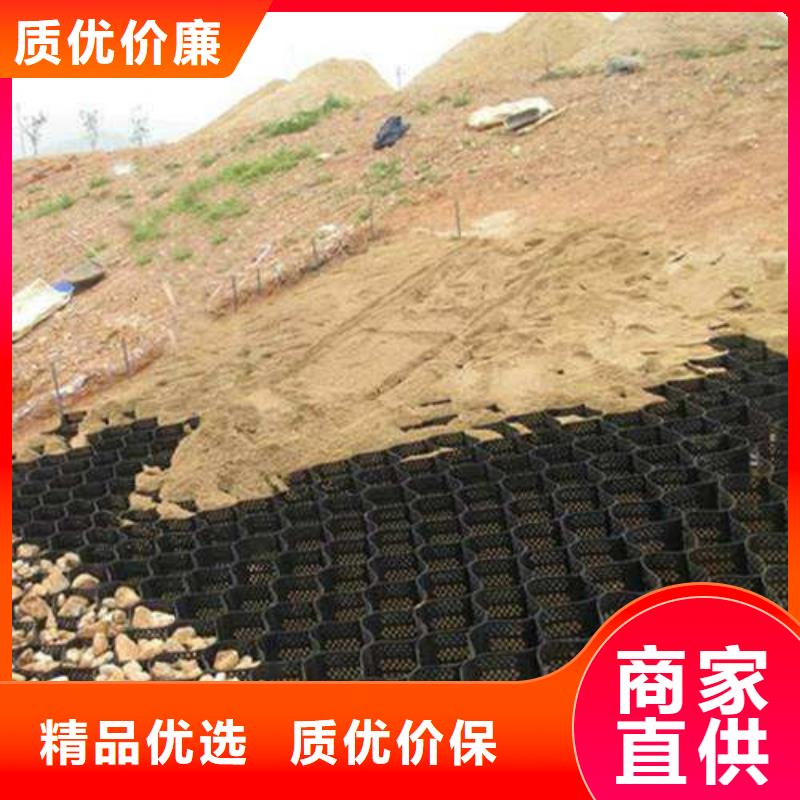 土工格室PET土工格室一站式厂家