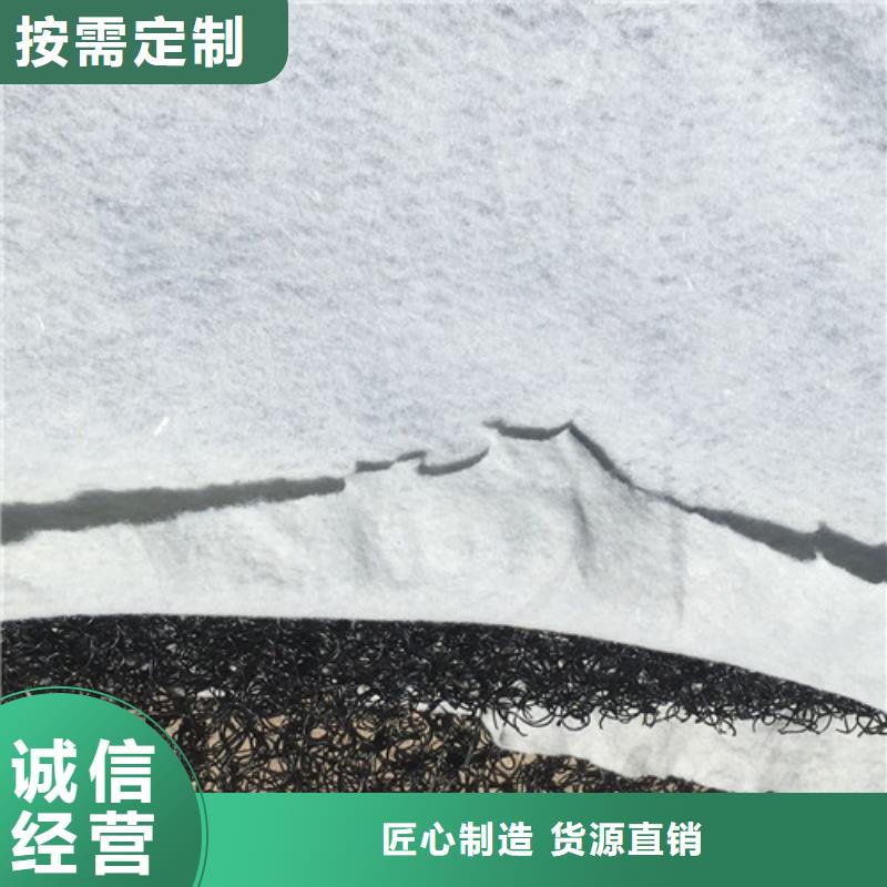 三维植被网,加筋麦克垫实力厂家