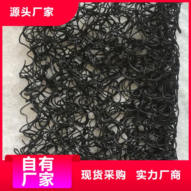 三维植被网,加筋麦克垫实力厂家