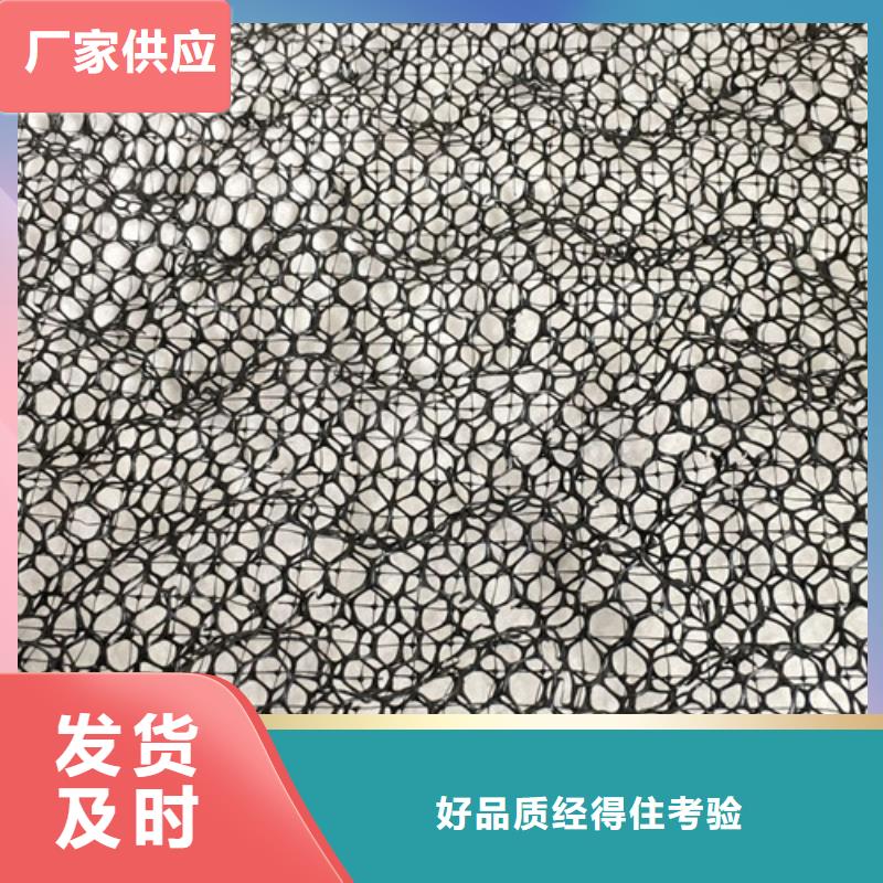 三维植被网,加筋麦克垫实力厂家