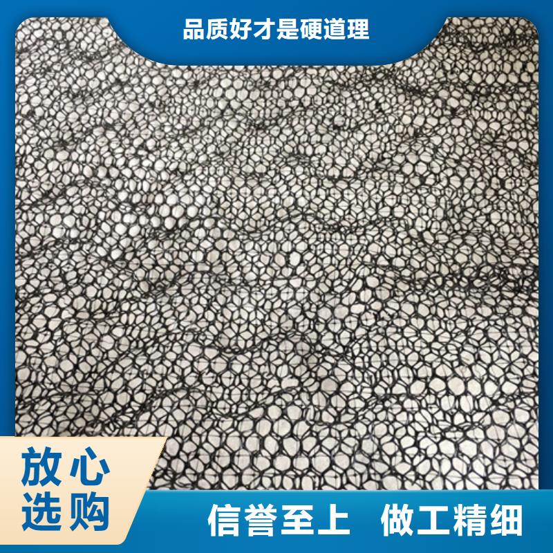 三维植被网,加筋麦克垫实力厂家