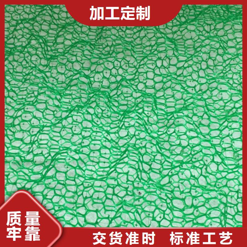 三维植被网,加筋麦克垫实力厂家