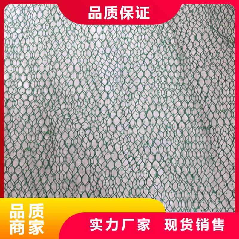 三维植被网三维网垫好产品放心购