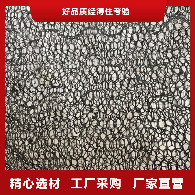 三维植被网,加筋麦克垫实力厂家