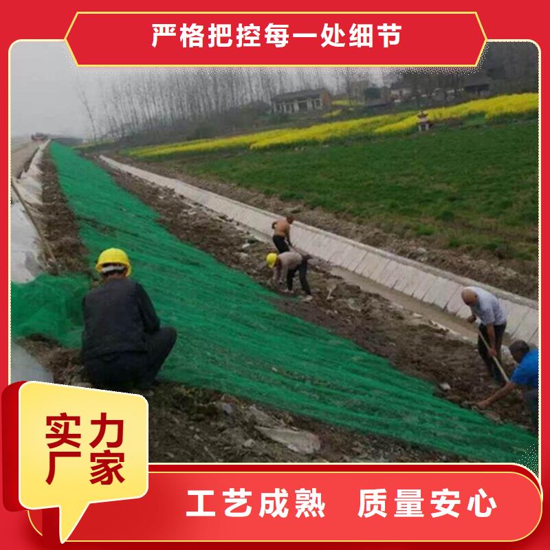 三维植被网-三维土工网专注品质