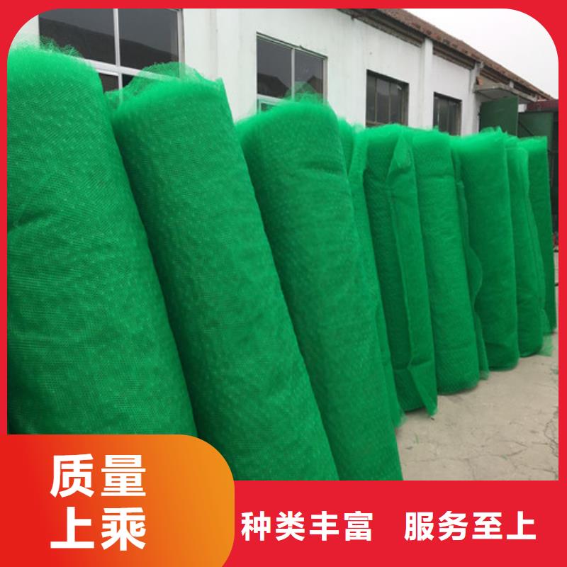三维植被网三维网垫好产品放心购