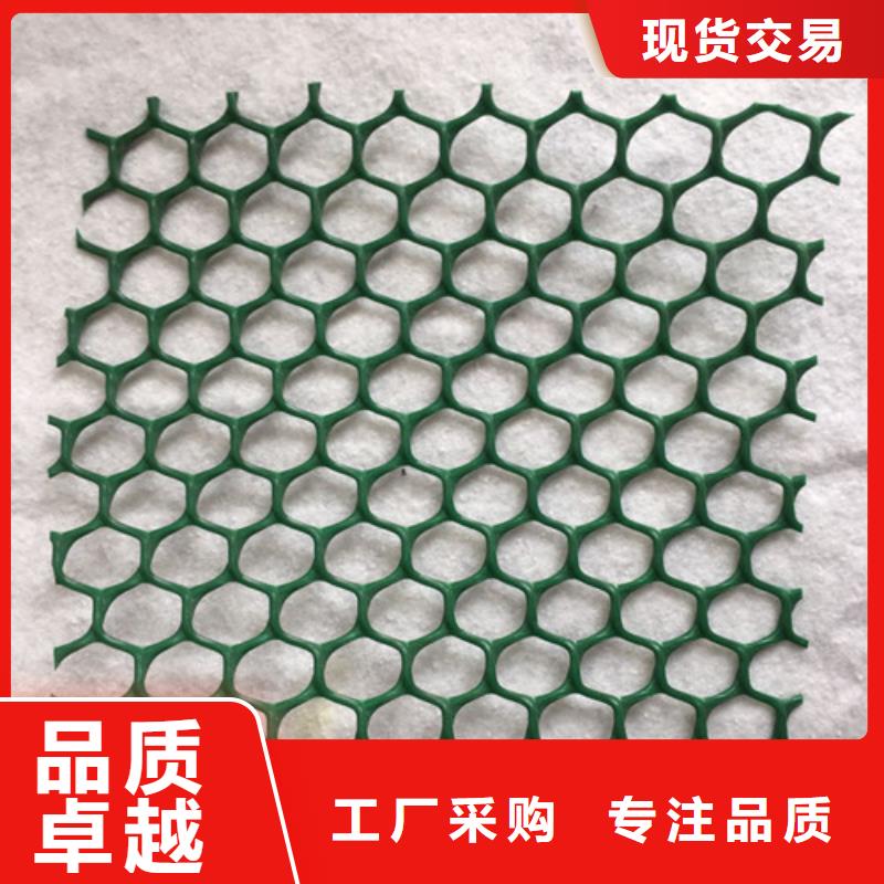 三维植被网三维网垫好产品放心购