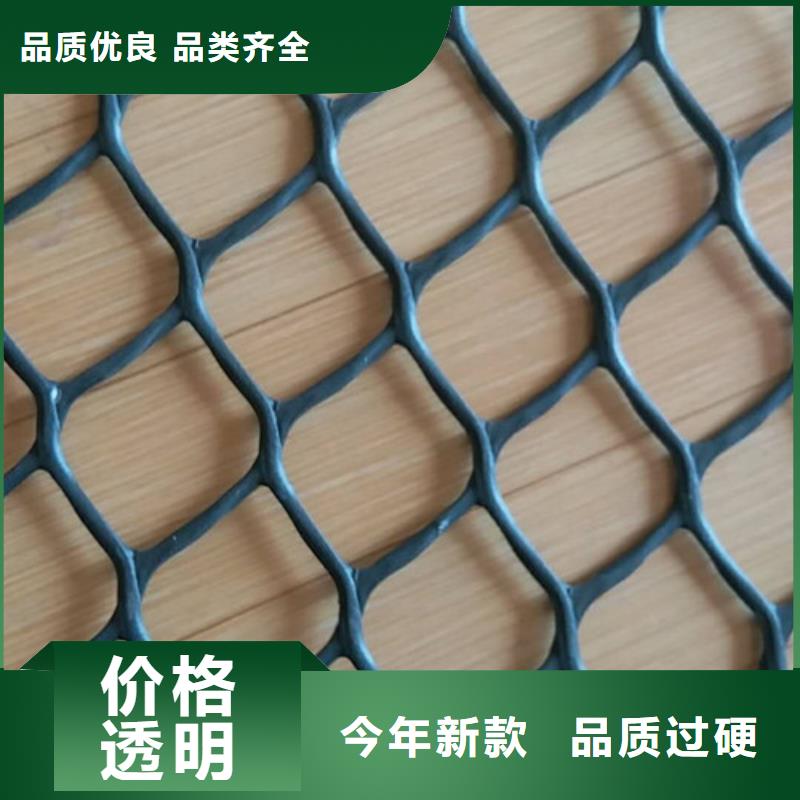 三维植被网,加筋麦克垫实力厂家