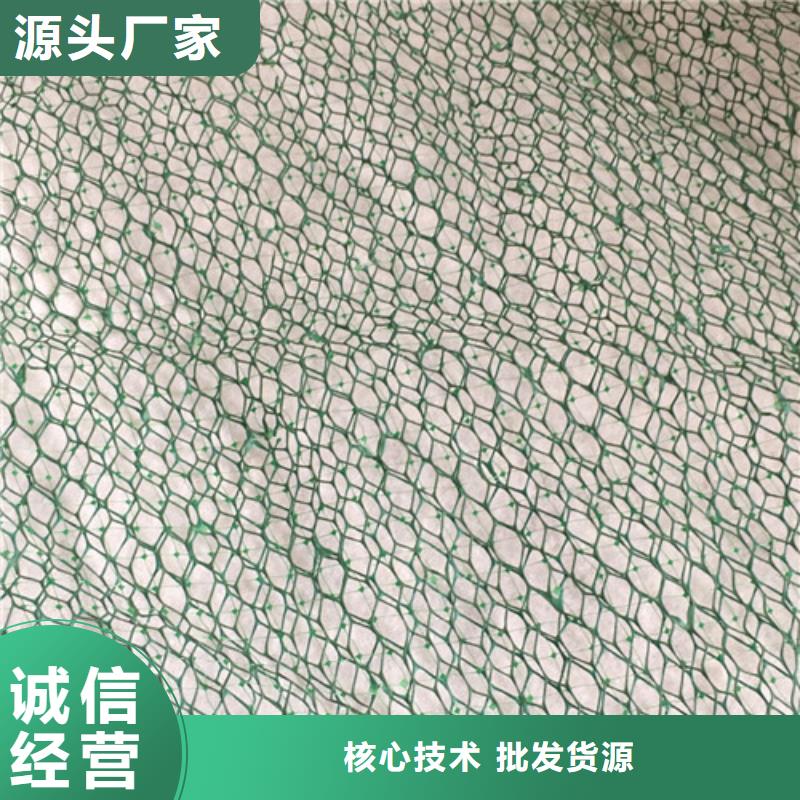 三维植被网三维网垫好产品放心购
