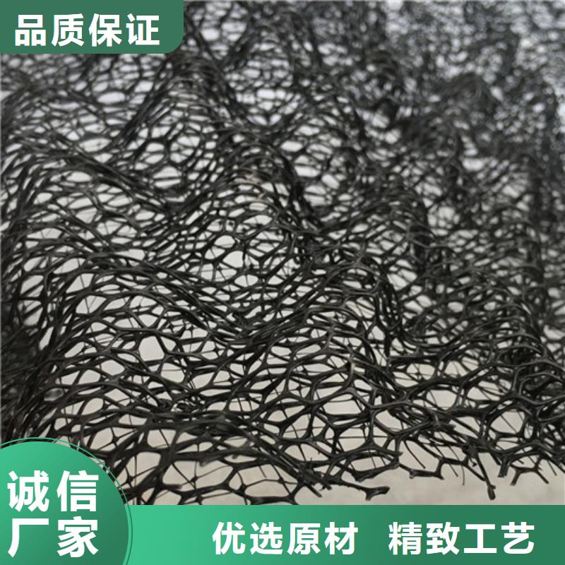 三维植被网,加筋麦克垫实力厂家