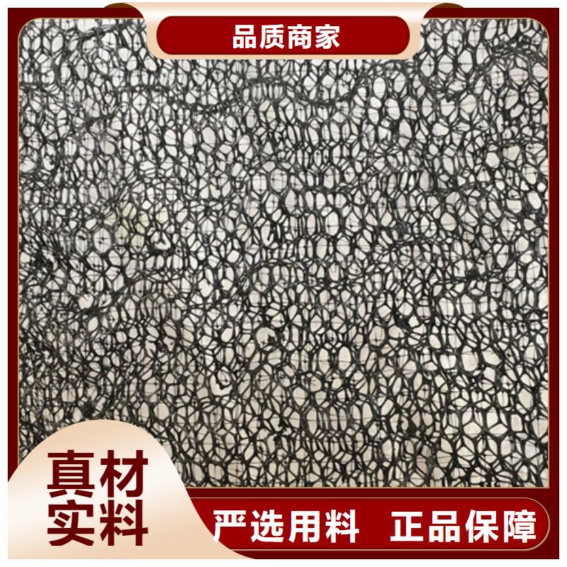 三维植被网,加筋麦克垫实力厂家