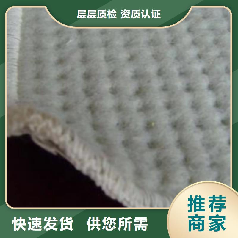 防水毯防水毯畅销当地