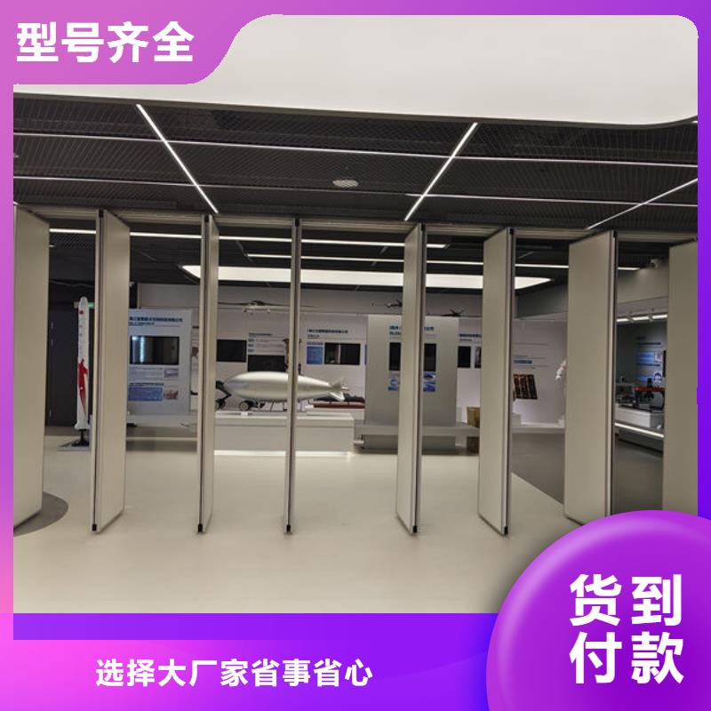 电动隔断-电动平移门专注生产N年